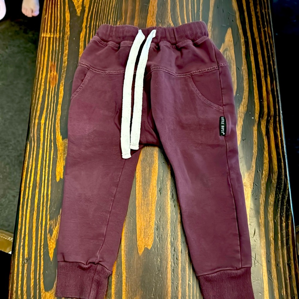 Little Bipsy- Joggers Size 2T-3T these are Burgandy